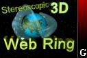 Stereo 3D Ring